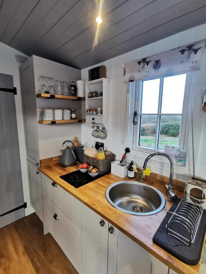 Elvan Farm Shepherd'S Hut Vila Exeter Exterior foto
